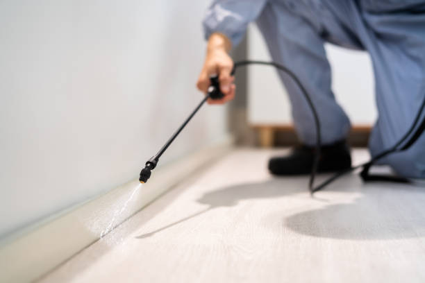 Certified termite inspector examining foundation in Hillsdale