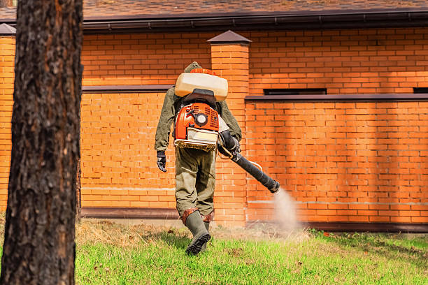 Bed Bug Clearance Verification and Documentation in Hillsdale